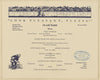 Paragon Park Boston 1913 - ABA Sea Book Menu