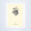S/S America 1926