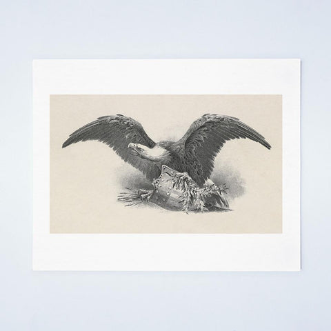 Detail Of The American Eagle On Top Of President Theodore Roosevelt's Tour Of The Northwest 1902