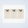 Tour Of President Theodore Roosevelt Through The Northwest 1902 (Breakfast, Lunch & Dinner Menus)